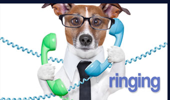 ringing-image-5