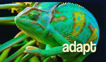 adapt-image-5